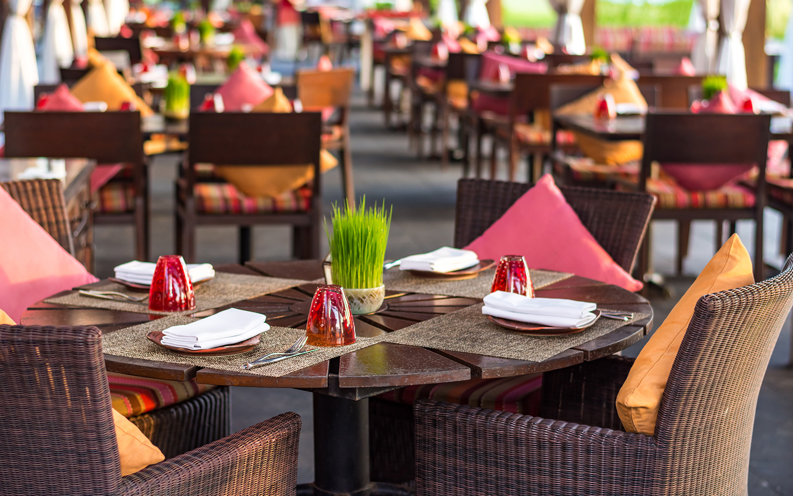 Casual Dining Restaurants