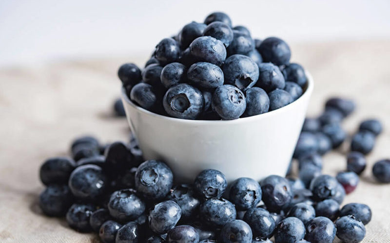 Reduced Carb Diets|Plant-Based