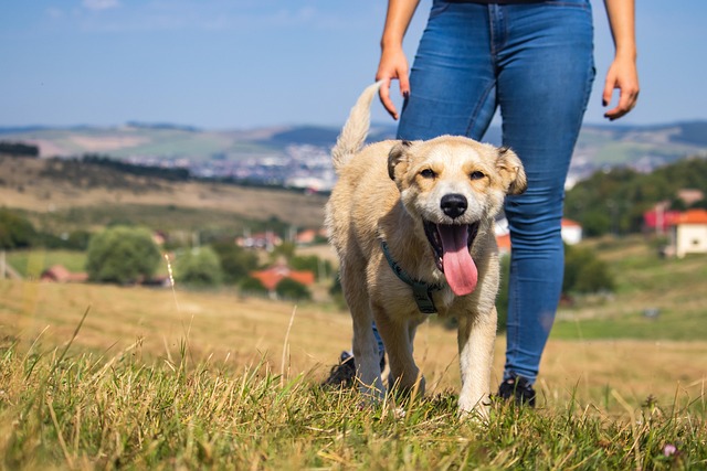 A consistent routine can give you more time and energy for fun and healthy activities. 