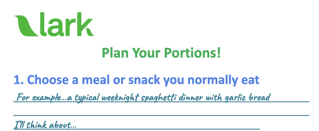 Lark Portion Plan Worksheet