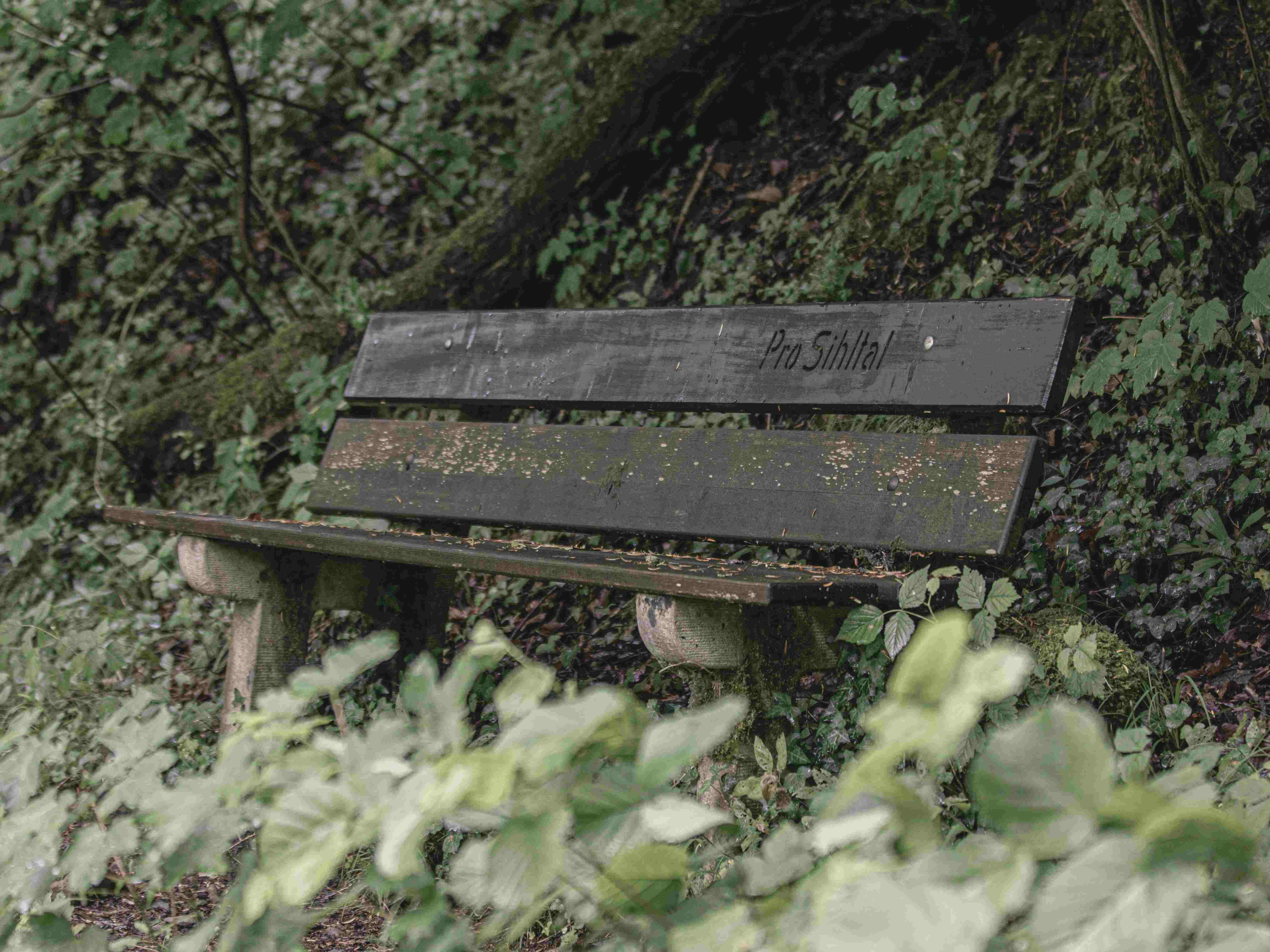 Анимированное изображение Тенистого Сэма