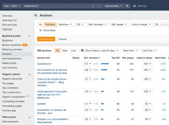 Rapport des ancres de lien dans Ahrefs