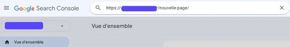 Demande d'indexation dans la Google Search Console