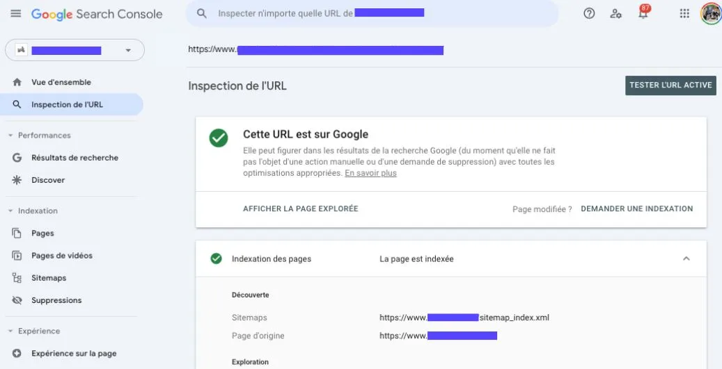 Champ "sitemaps" dans la section découverte du rapport d'indexation des pages de la GSC
