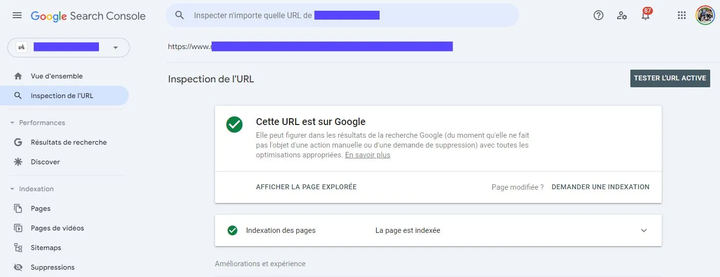 Rapport d'inspection d'URL de la Search Console