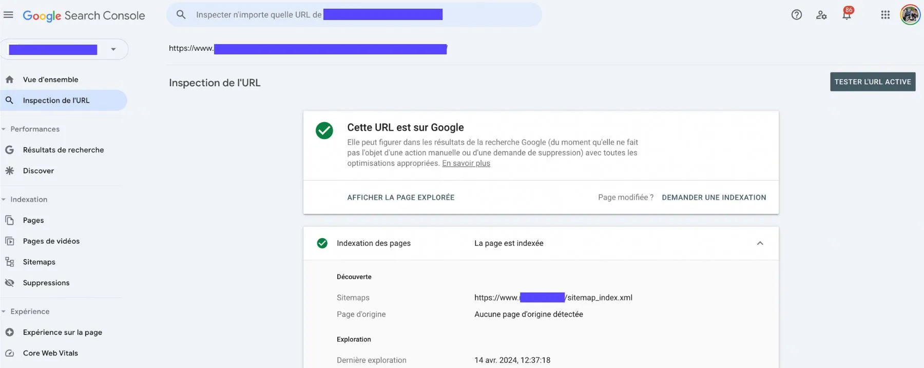 Le statut "aucune page d'origine détectée" peut persister plusieurs mois après l'indexation d'une page