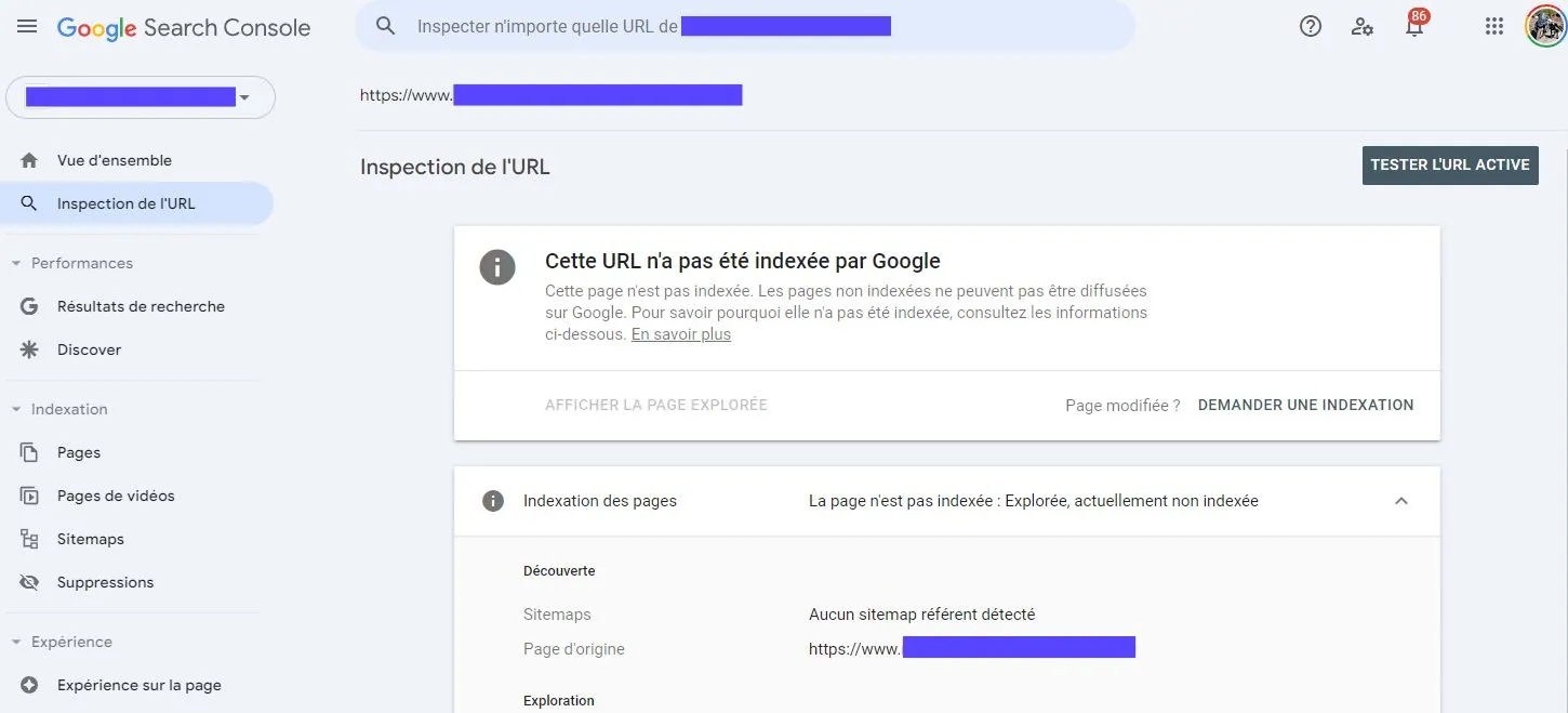 Le statut "Aucune page d'origine détectée" n'a pas nécessairement d'impact sur l'indexation