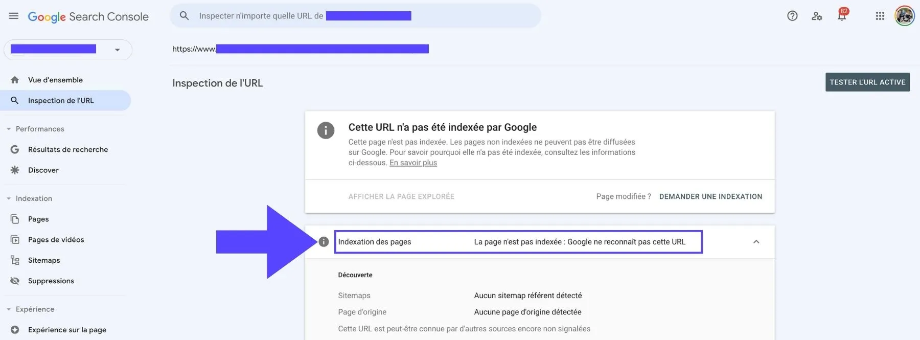 Google ne reconnaît pas cette URL