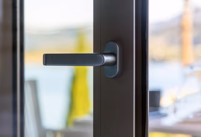 Black door handle on a glass door with a blurred outdoor background.