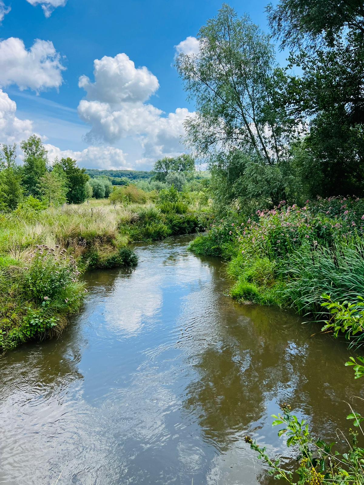 Wandeling langs de Geul bij Cottessen