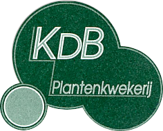 Plantenkwekerij Kris De Backer