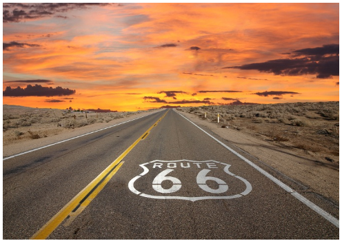 محرر الجريدة 