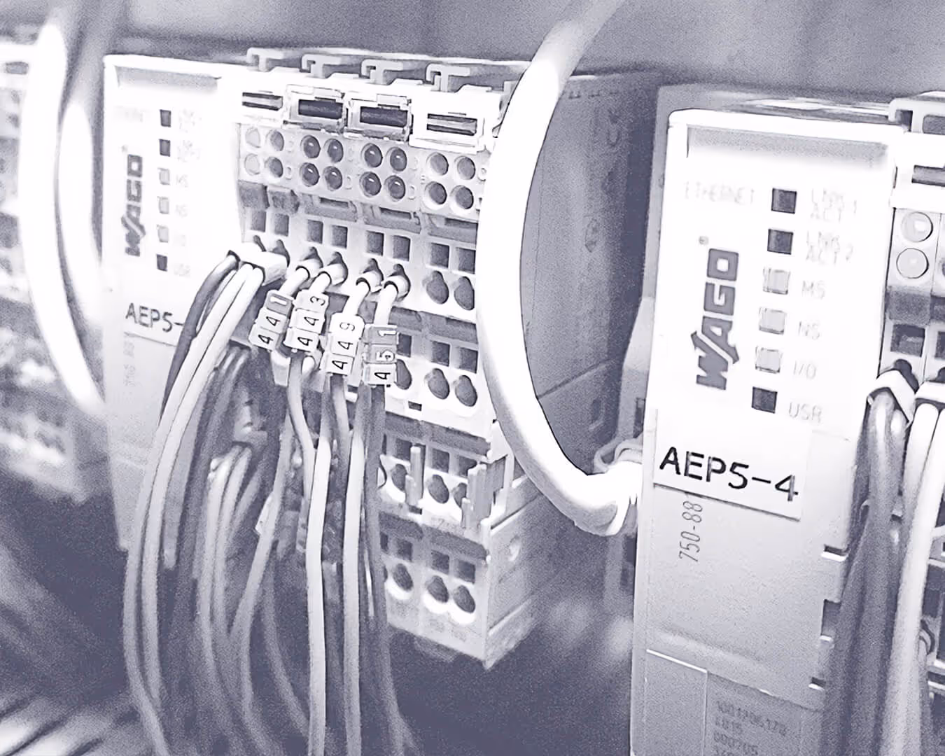 Nahaufnahme von WAGO-Klemmblöcken