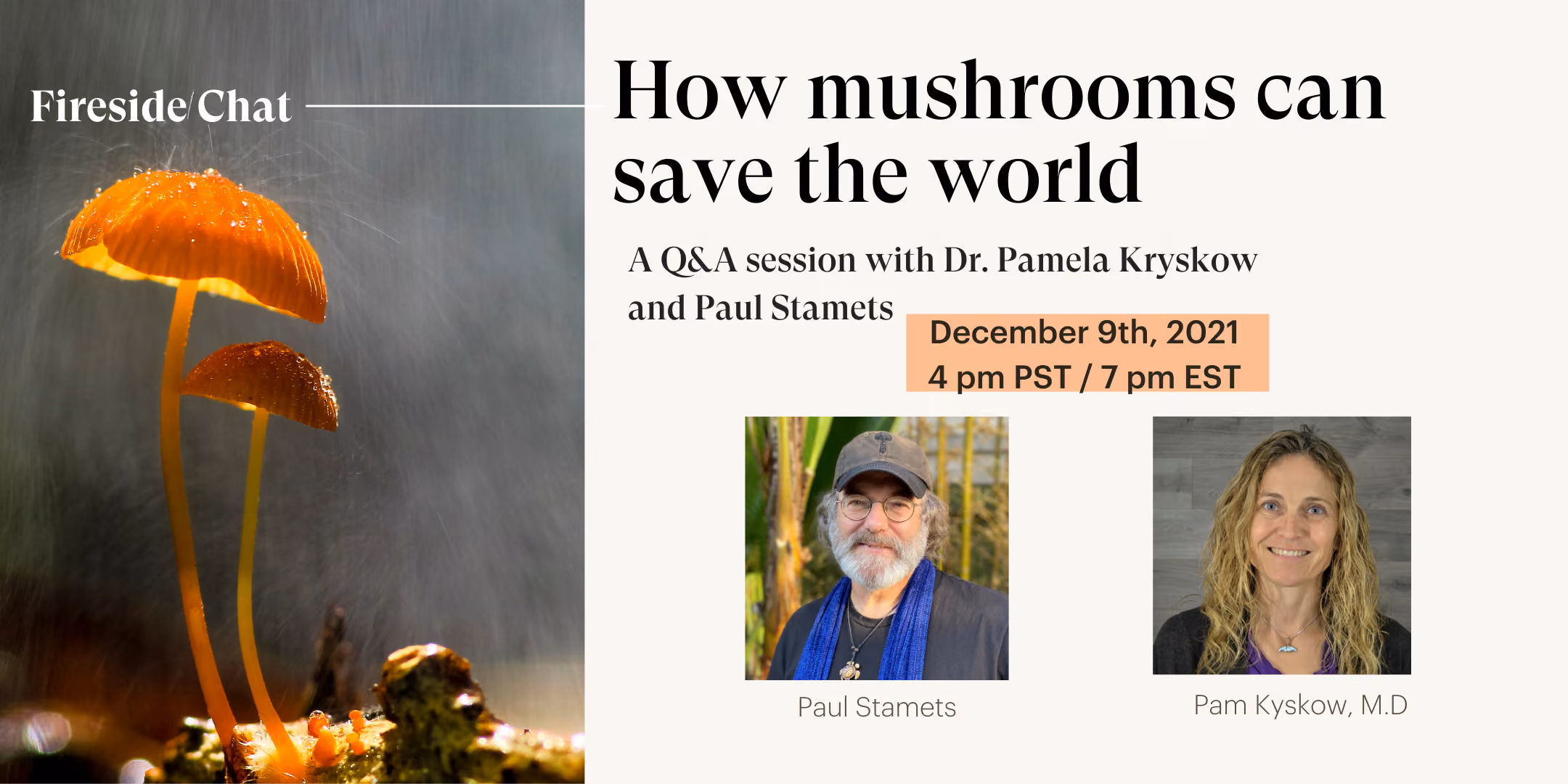 How mushrooms can save the world