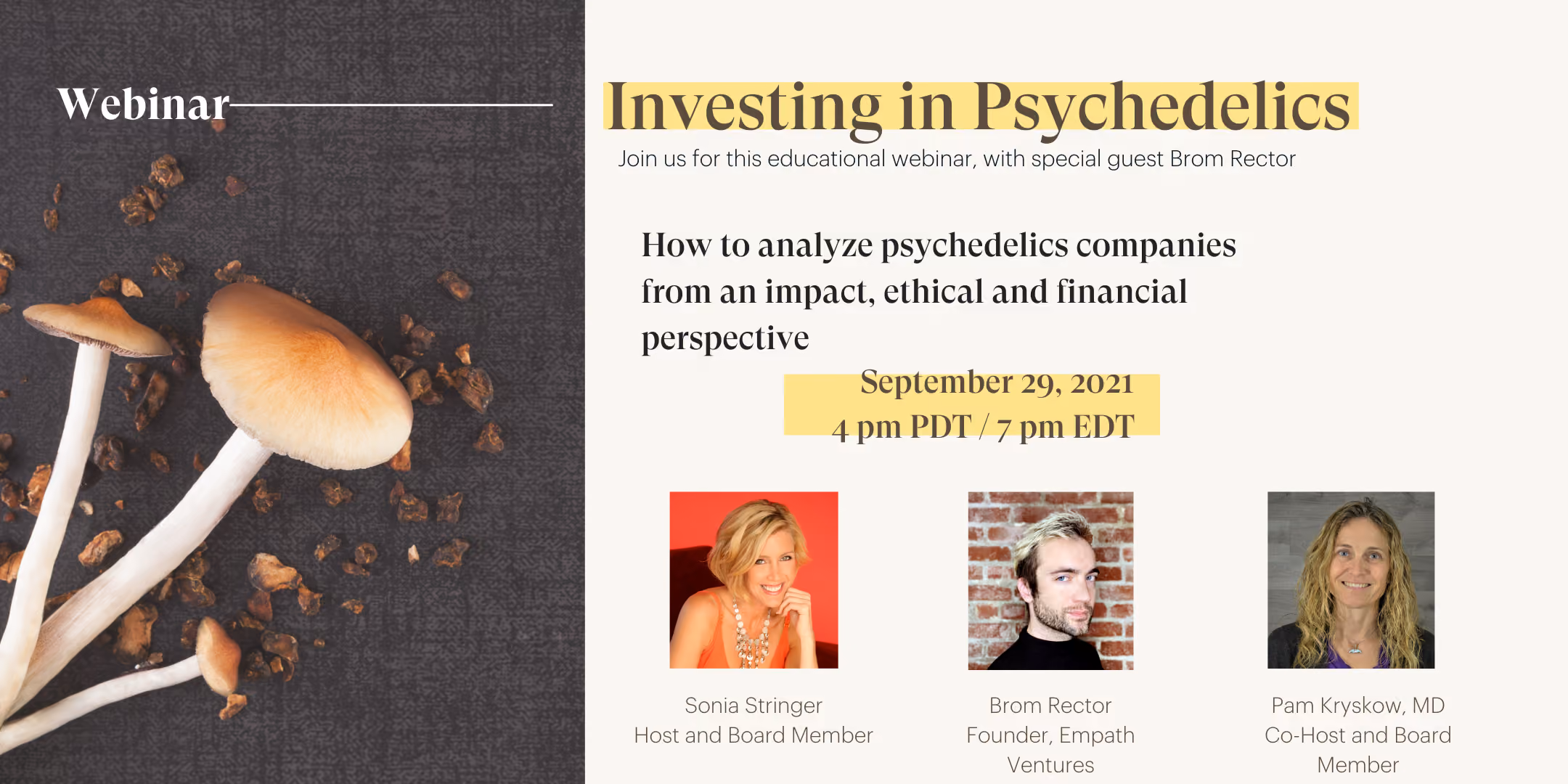 Investments in the Psychedelic Industry