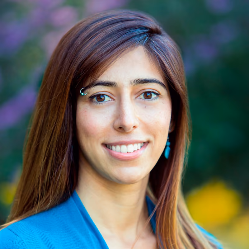 Salimeh Tabrizi