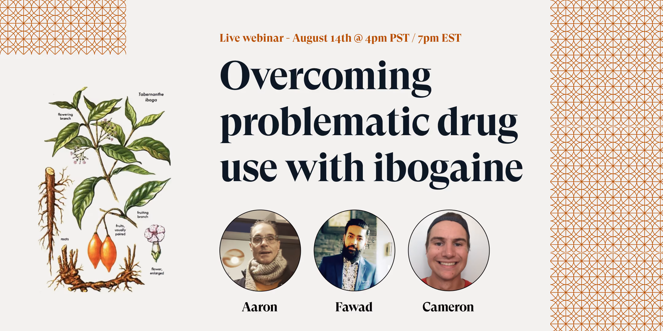 Overcoming problematic substance use with ibogaine