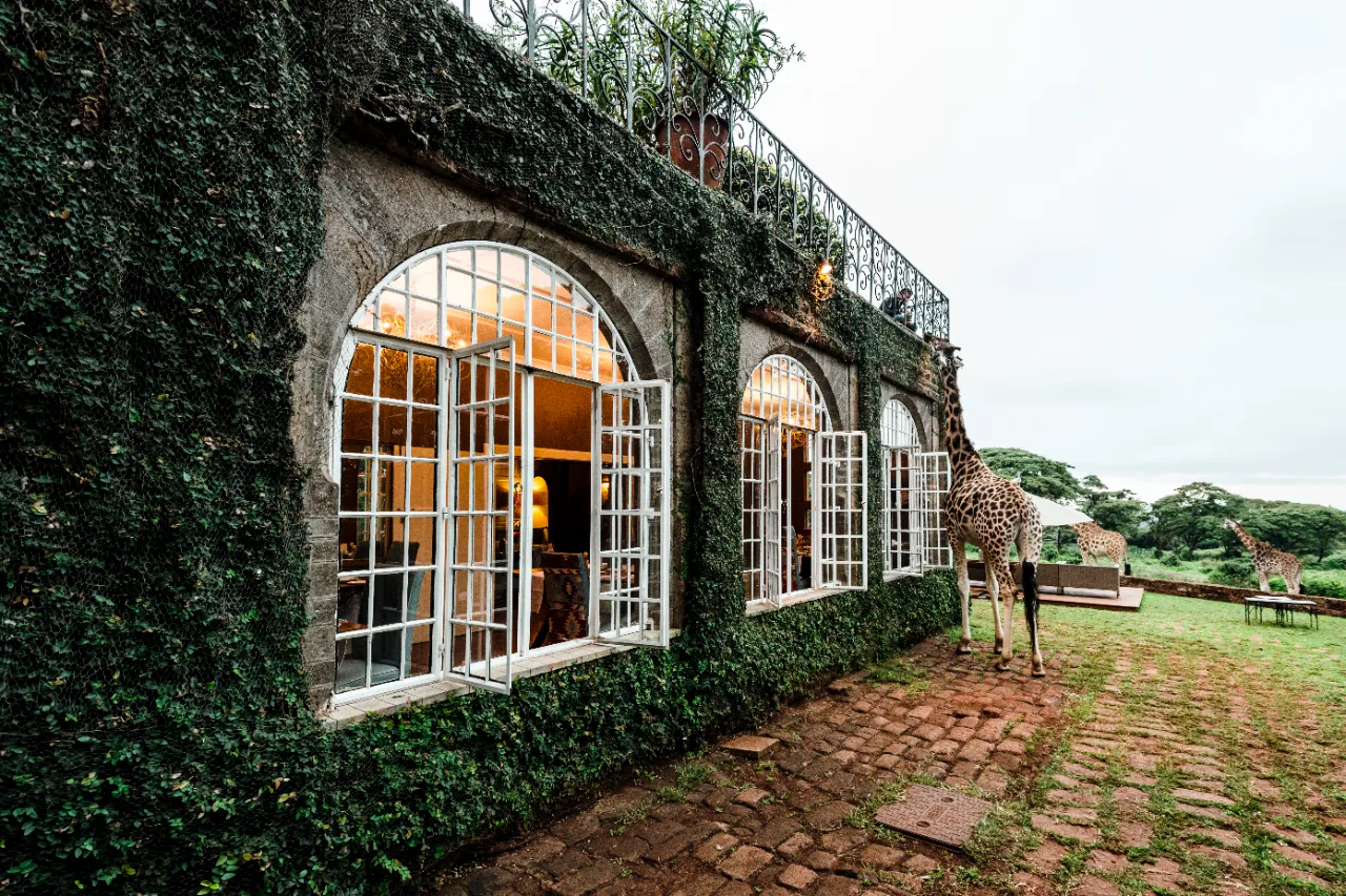 Bucket-List Worthy Exotic Stays in Africa That Will Take Your Breath Away