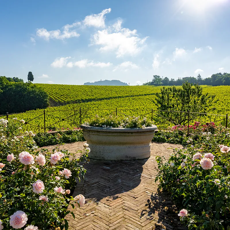 Want to Experience Real Tuscany?