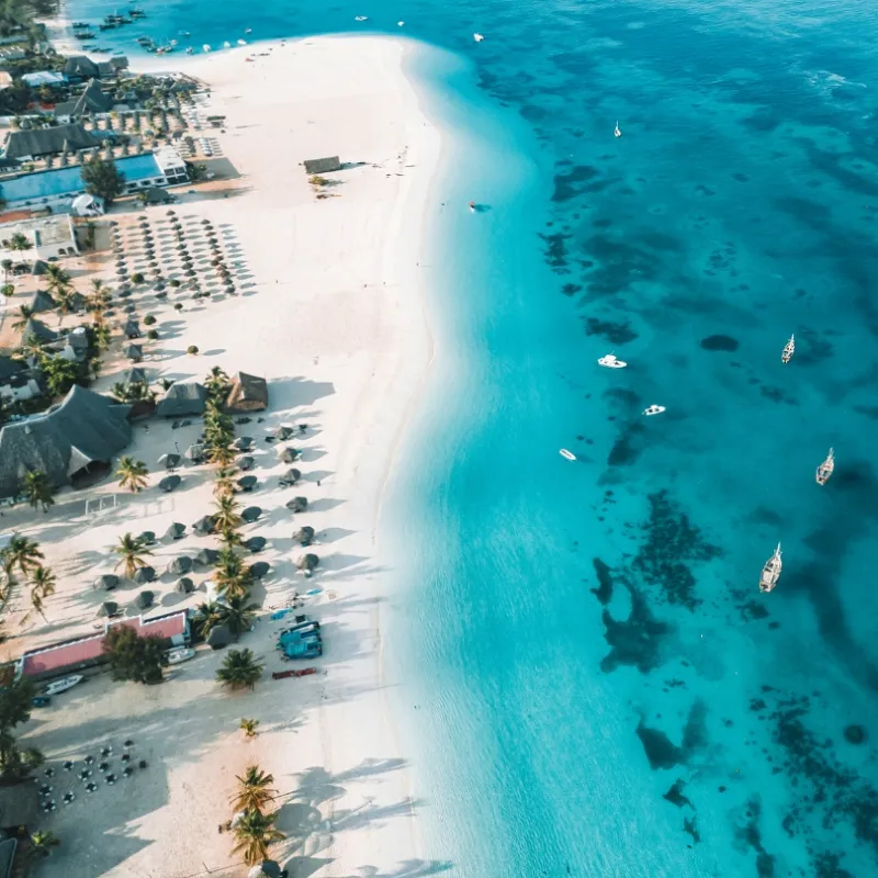 Tanzania Awaits: Where Luxury Meets the Wild