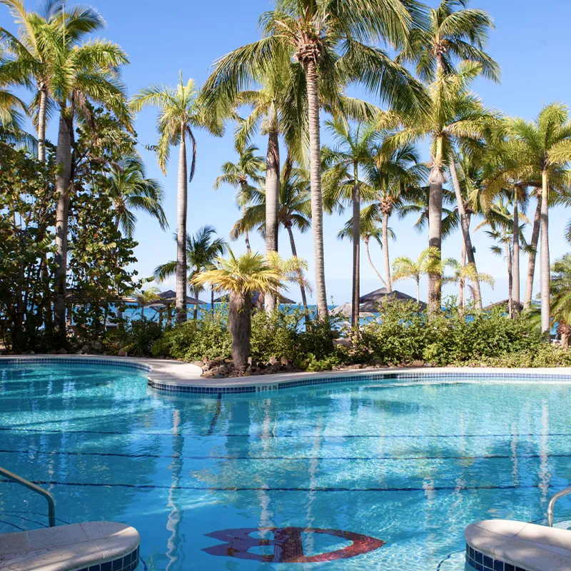 Curtain Bluff: Where Families Rediscover the Joy of Togetherness