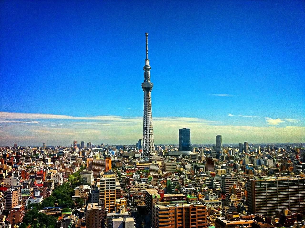 A Japan Story In 10 Days, Group Trip Edition