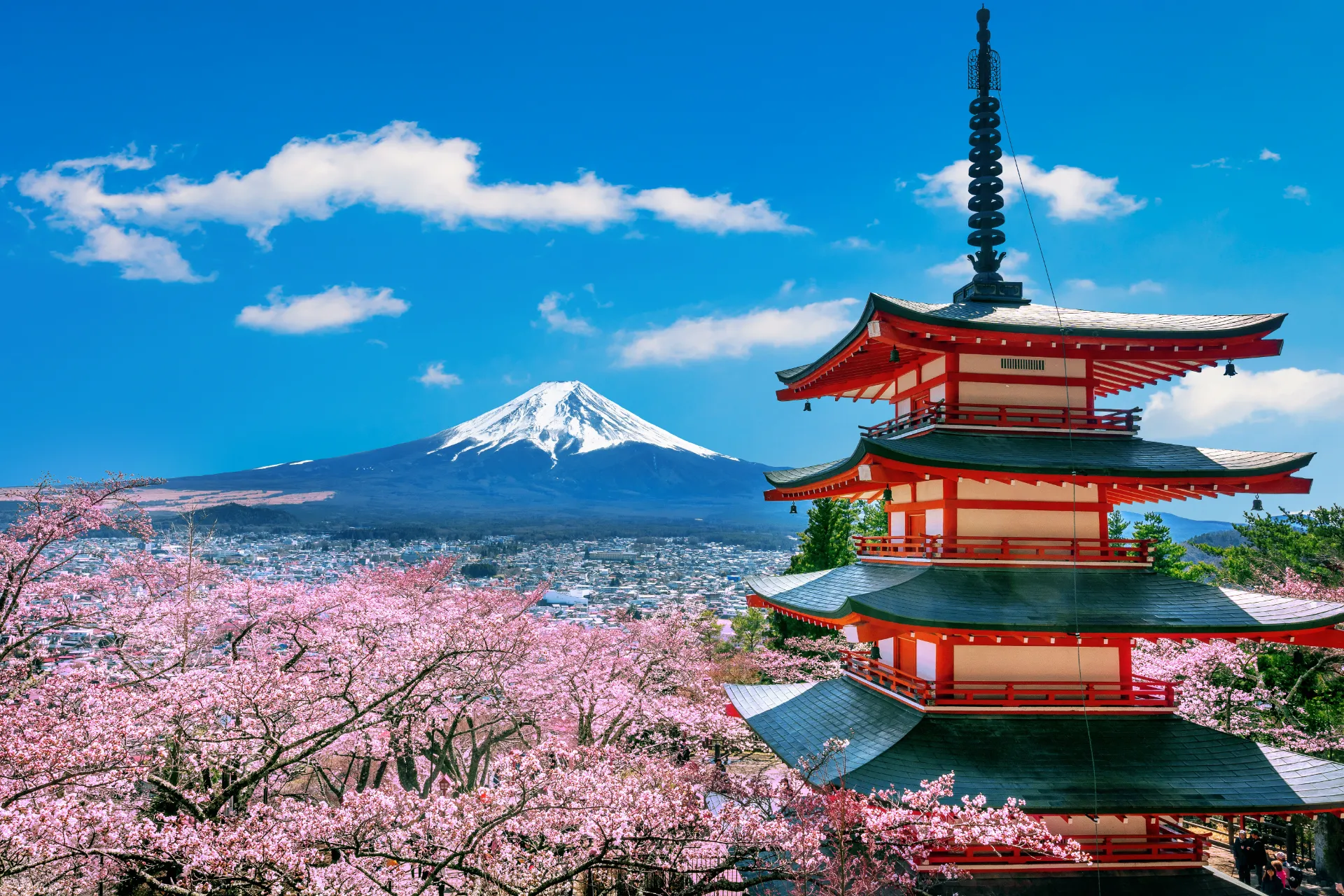 10 Days in Japan: A Journey of Wonder and Connection