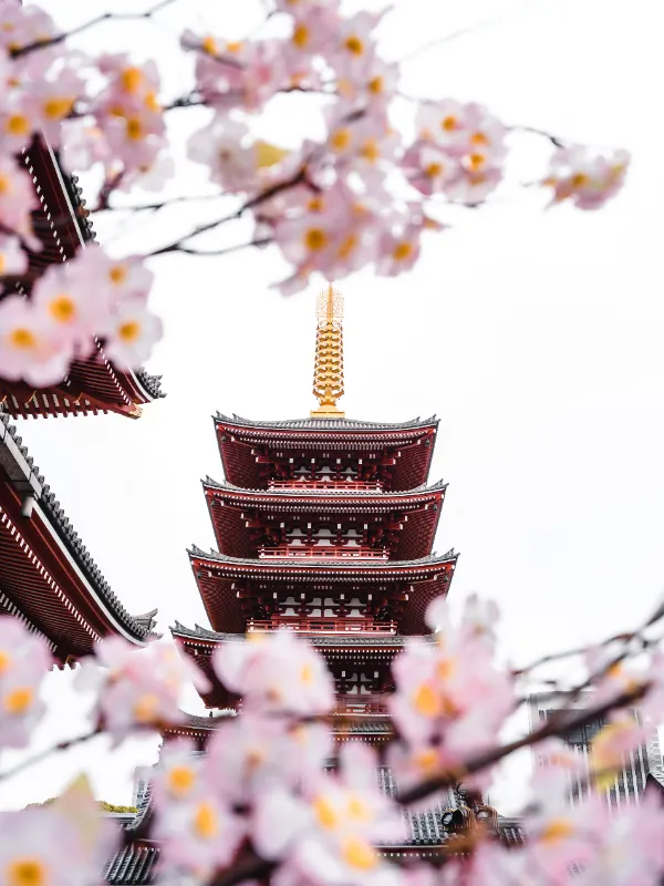 10 Days in Japan: A Journey of Wonder and Connection