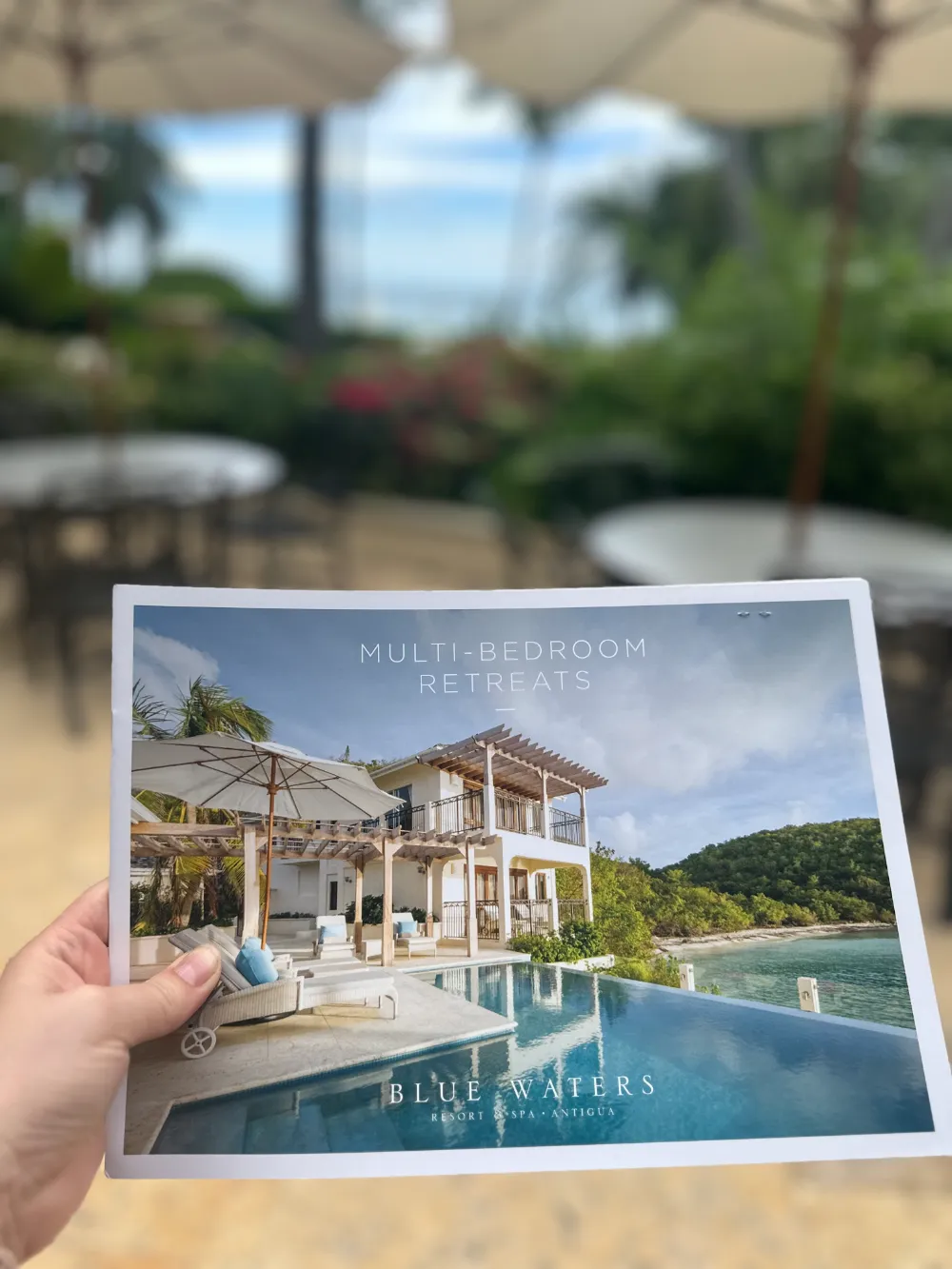 Meeting Csilla Dali: The Story and Soul of Evyssa Vacations