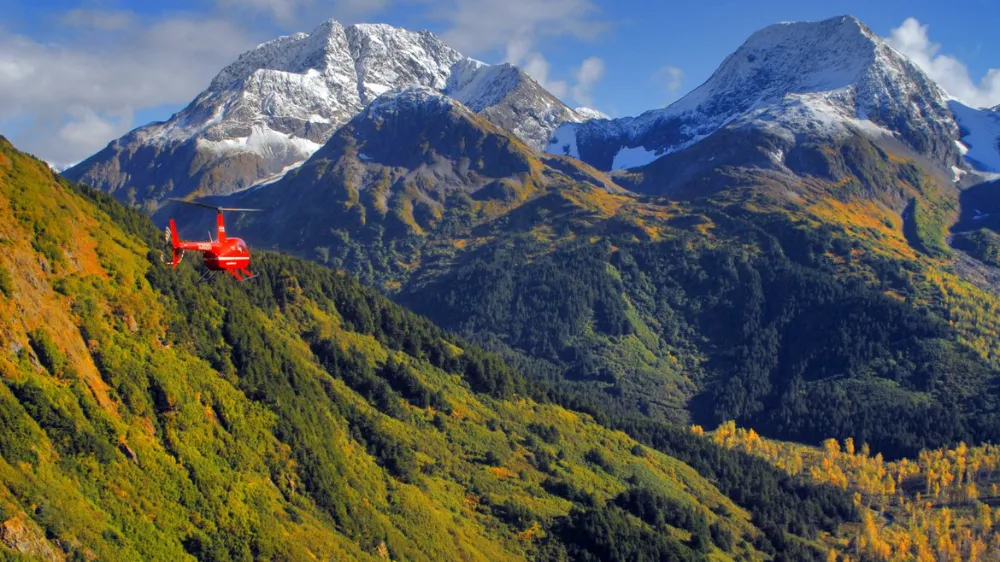 Wild Alaska Awaits: An Epic Family Adventure of Fjords, Glaciers and Bears