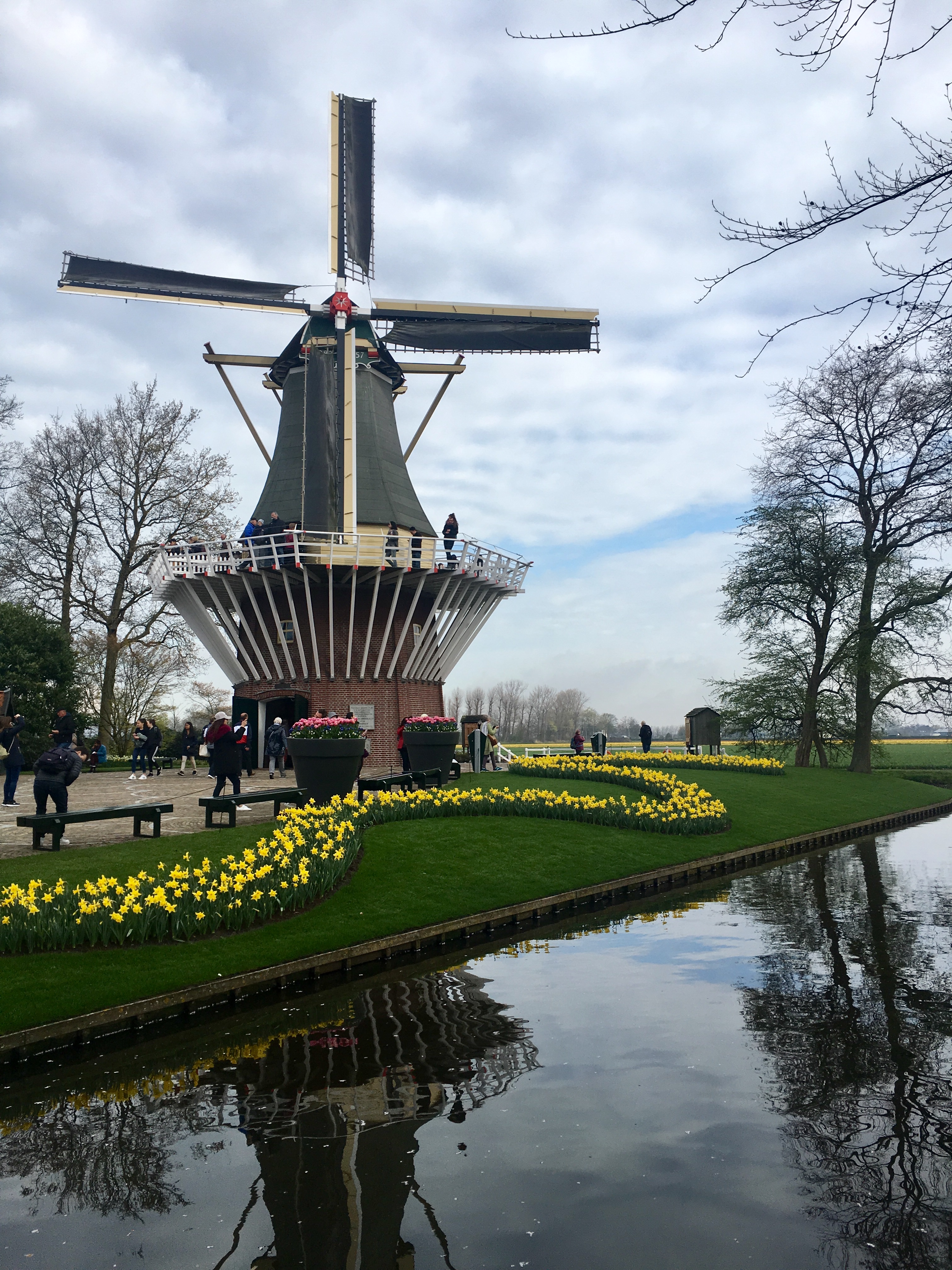 A Dutch windmill reflected in the water among spring flowers at Keukenhof