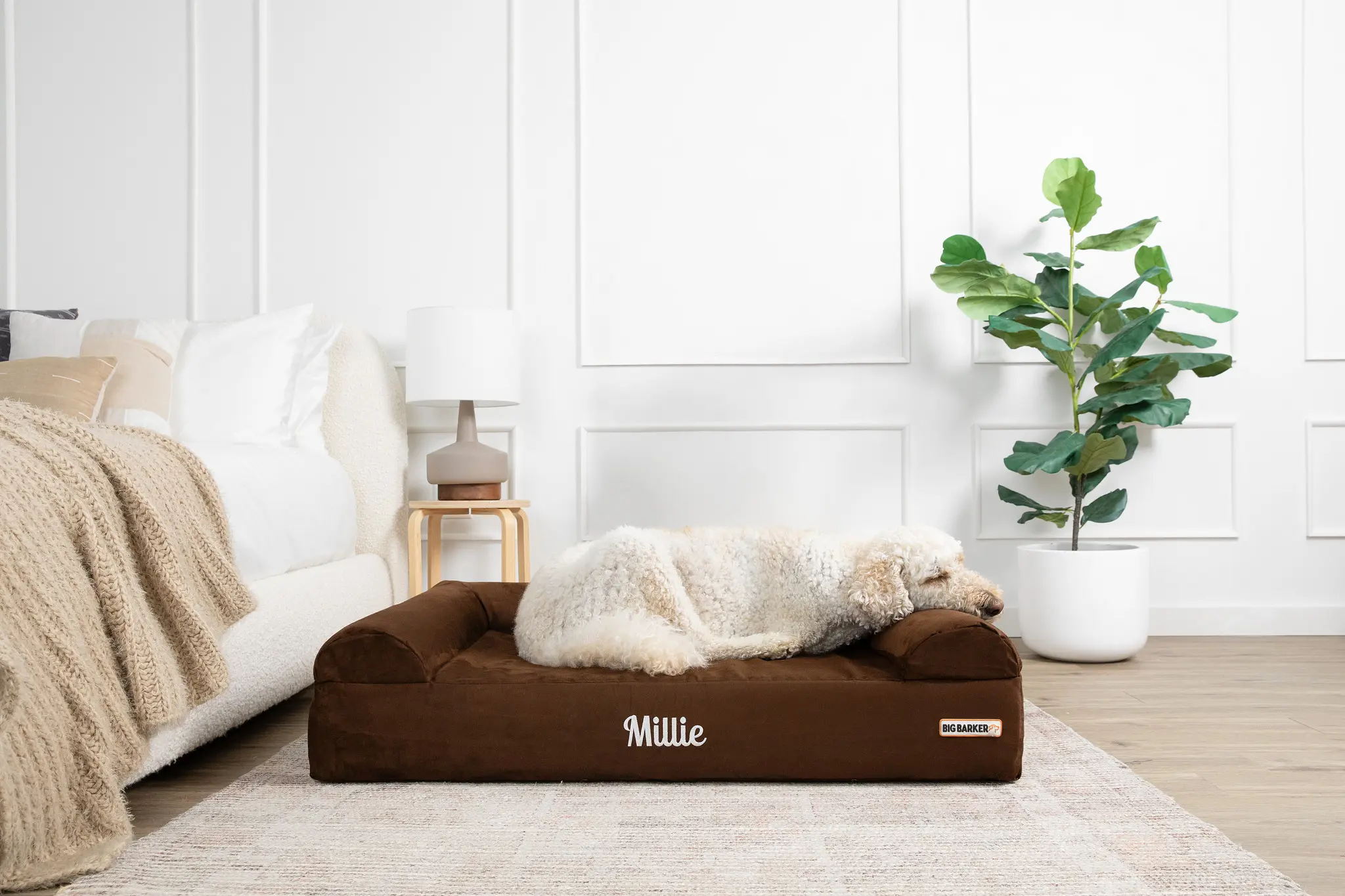 big white dog laying on a dog bed with the name "millie" embroidered on it, in a bedroom.