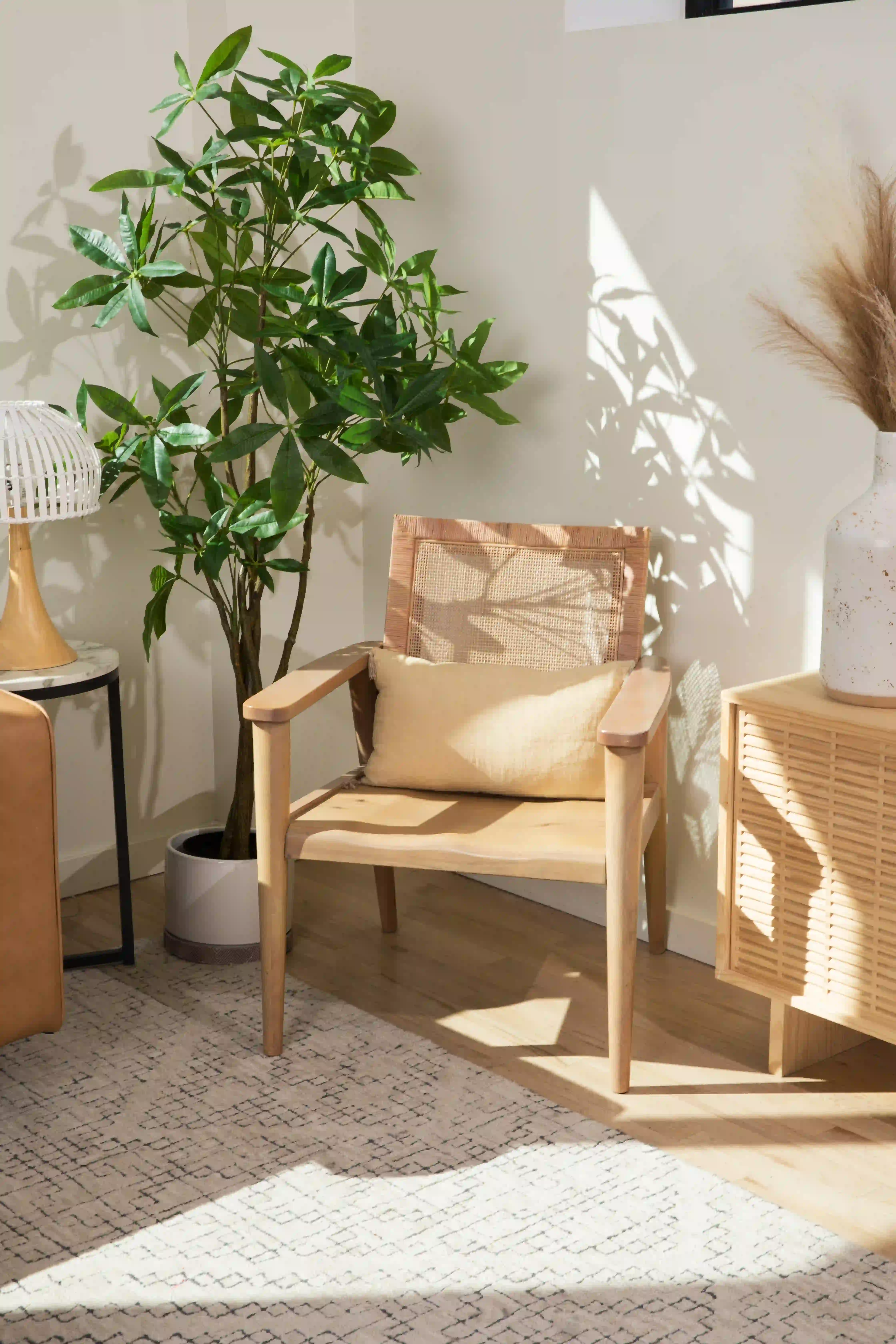 Wooden chair with cushion beside a tall green plant and a wicker cabinet in sunlight.