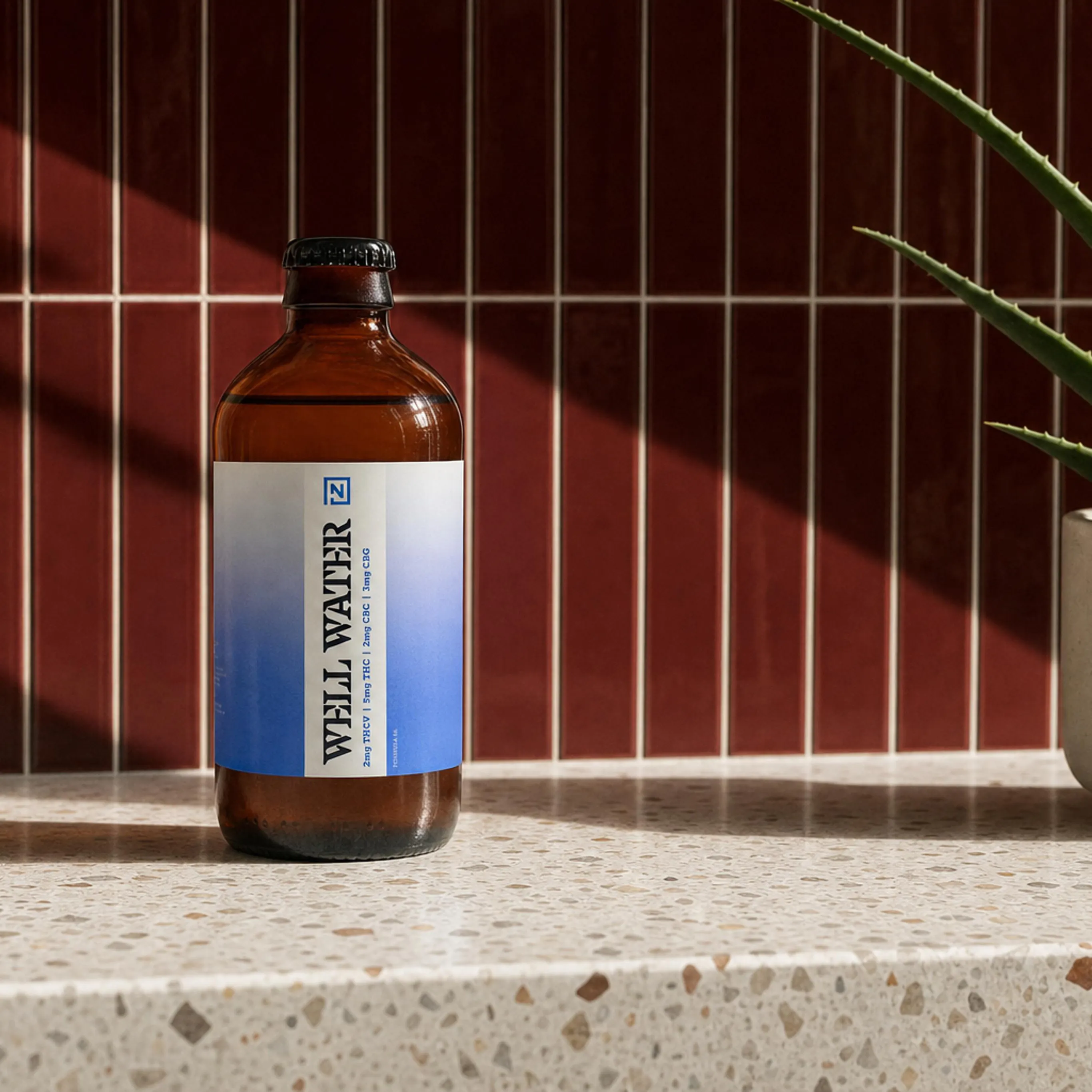 Brown glass bottle labeled Well Water on a speckled countertop with red tile backsplash and a potted plant.