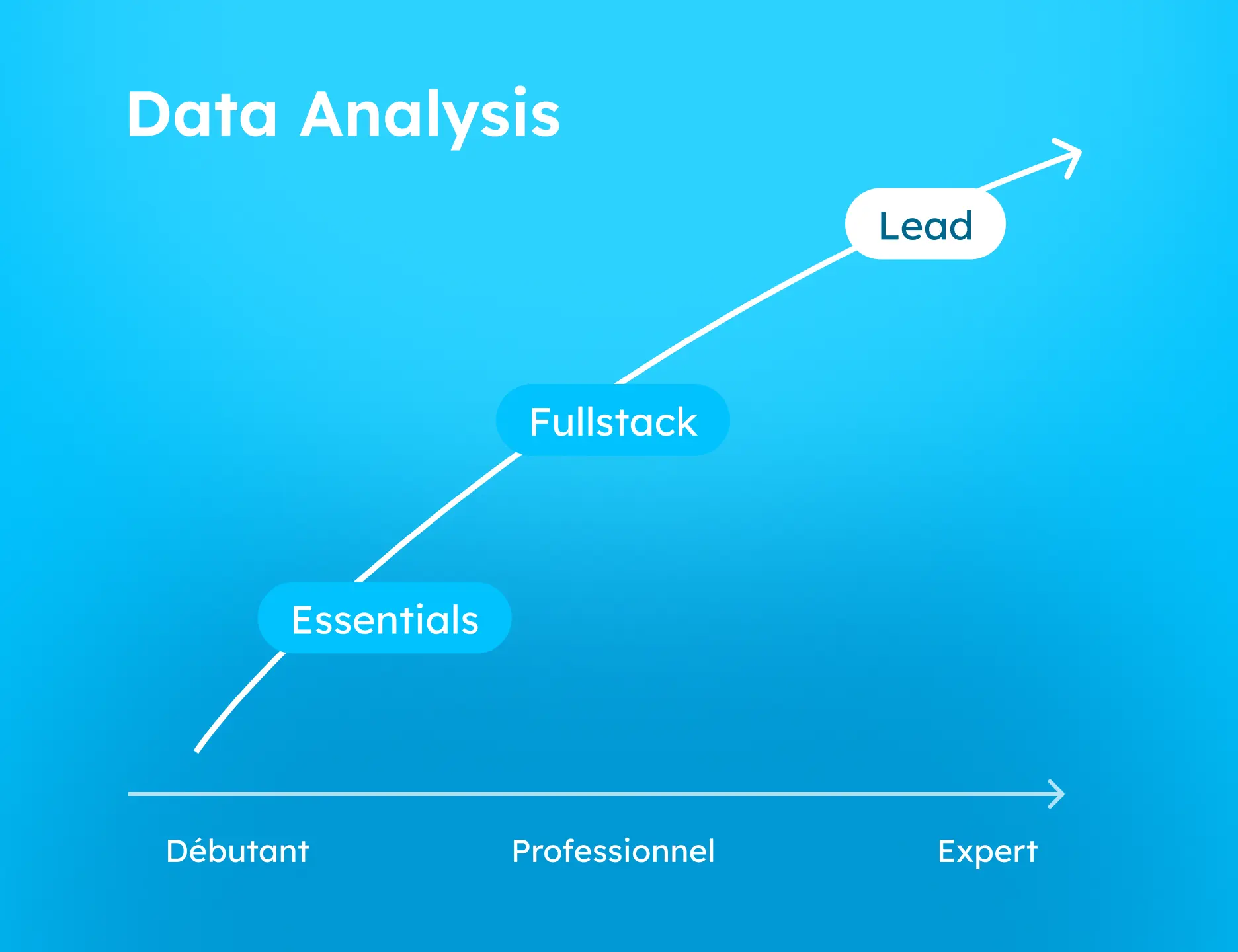Data Management
