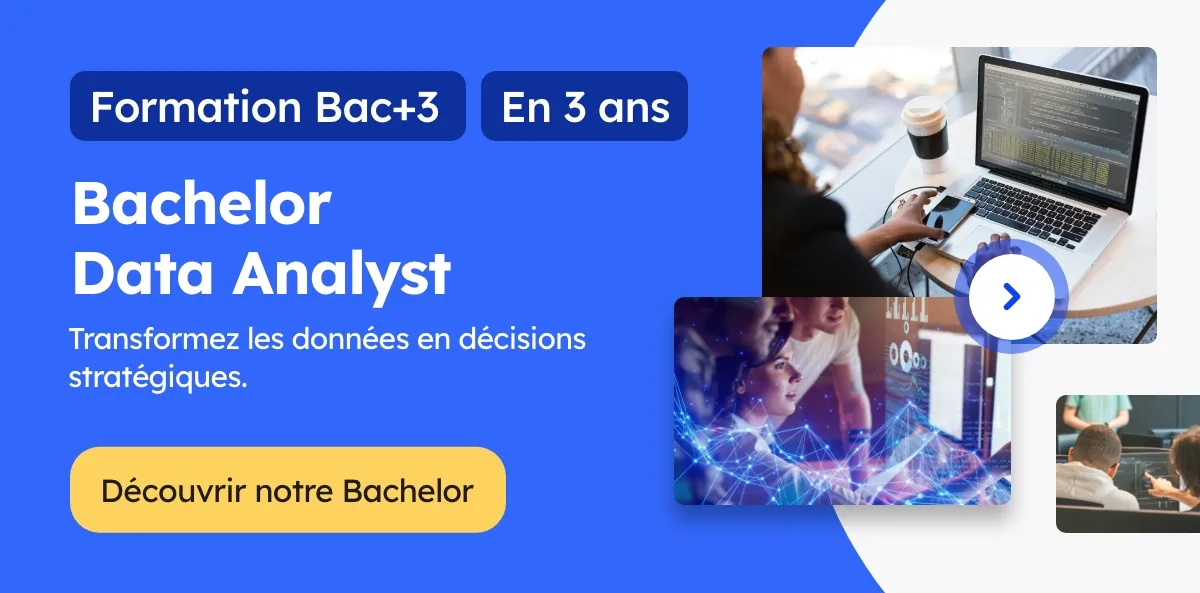 Bachelor Data Analyst