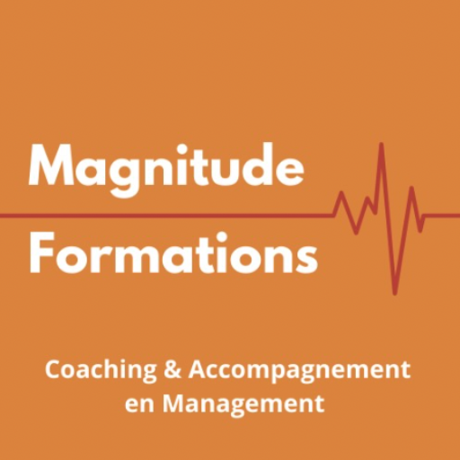 Formations IA - Magnitude Formations