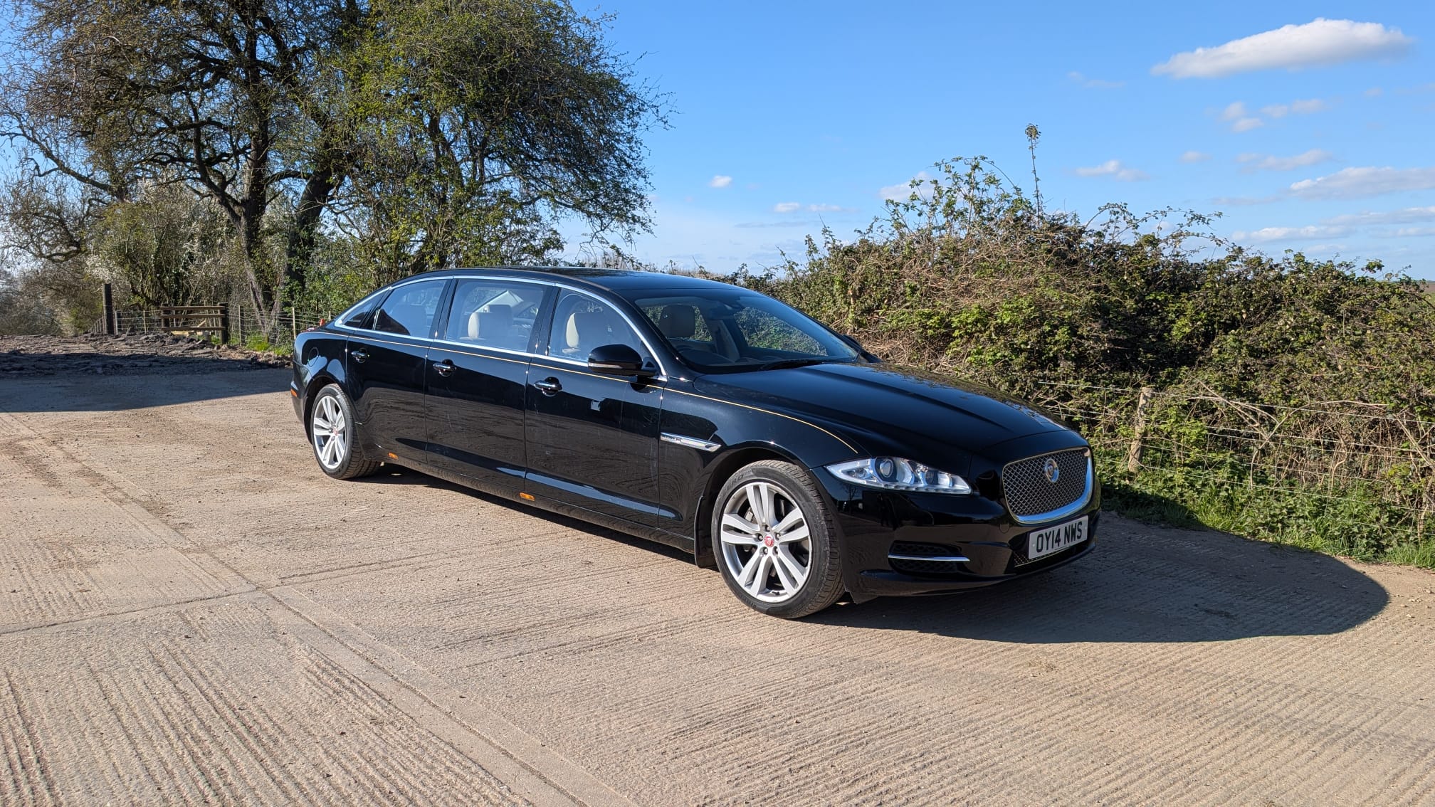 Jaguar Limousine - Wilcox 2014 Further Photos to Follow