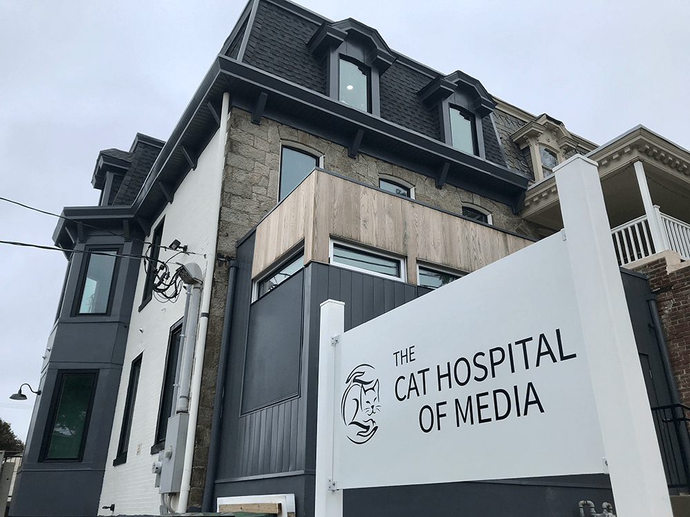 Custom post and panel sign for The Cat Hospital of Media, PA