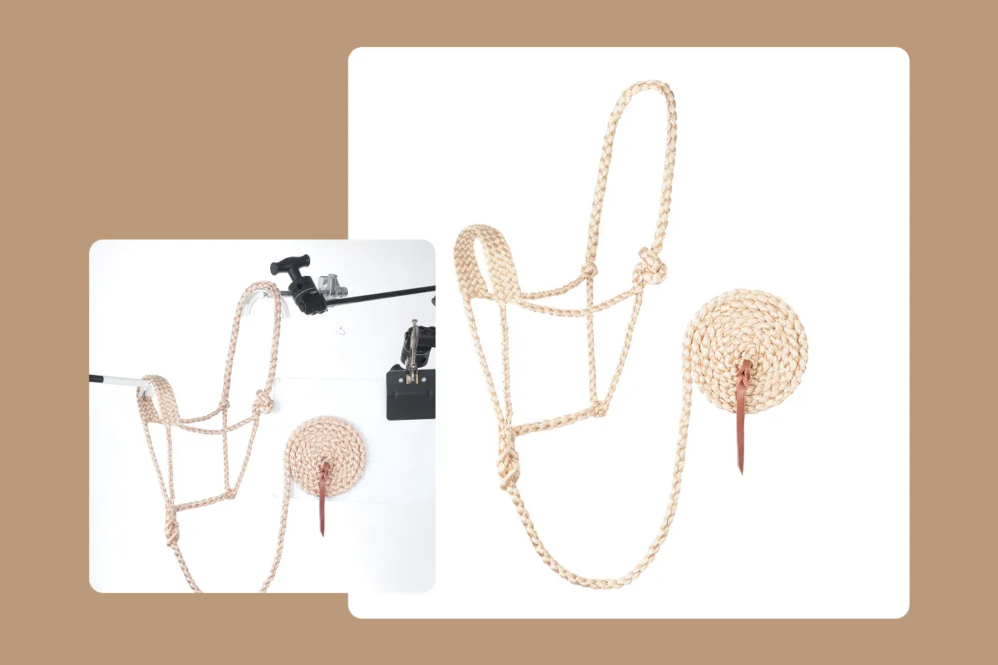 a before and after image of an equine halter and lead showing how much editing was involved