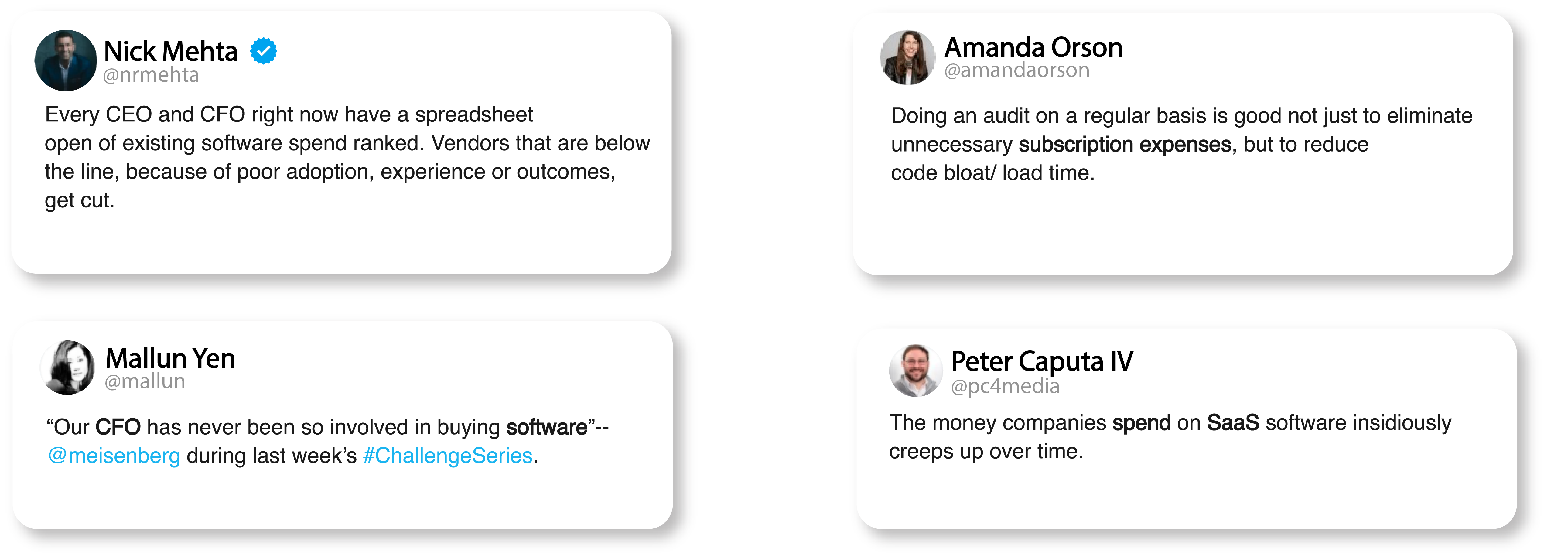Problems in SaaS spend and licence management