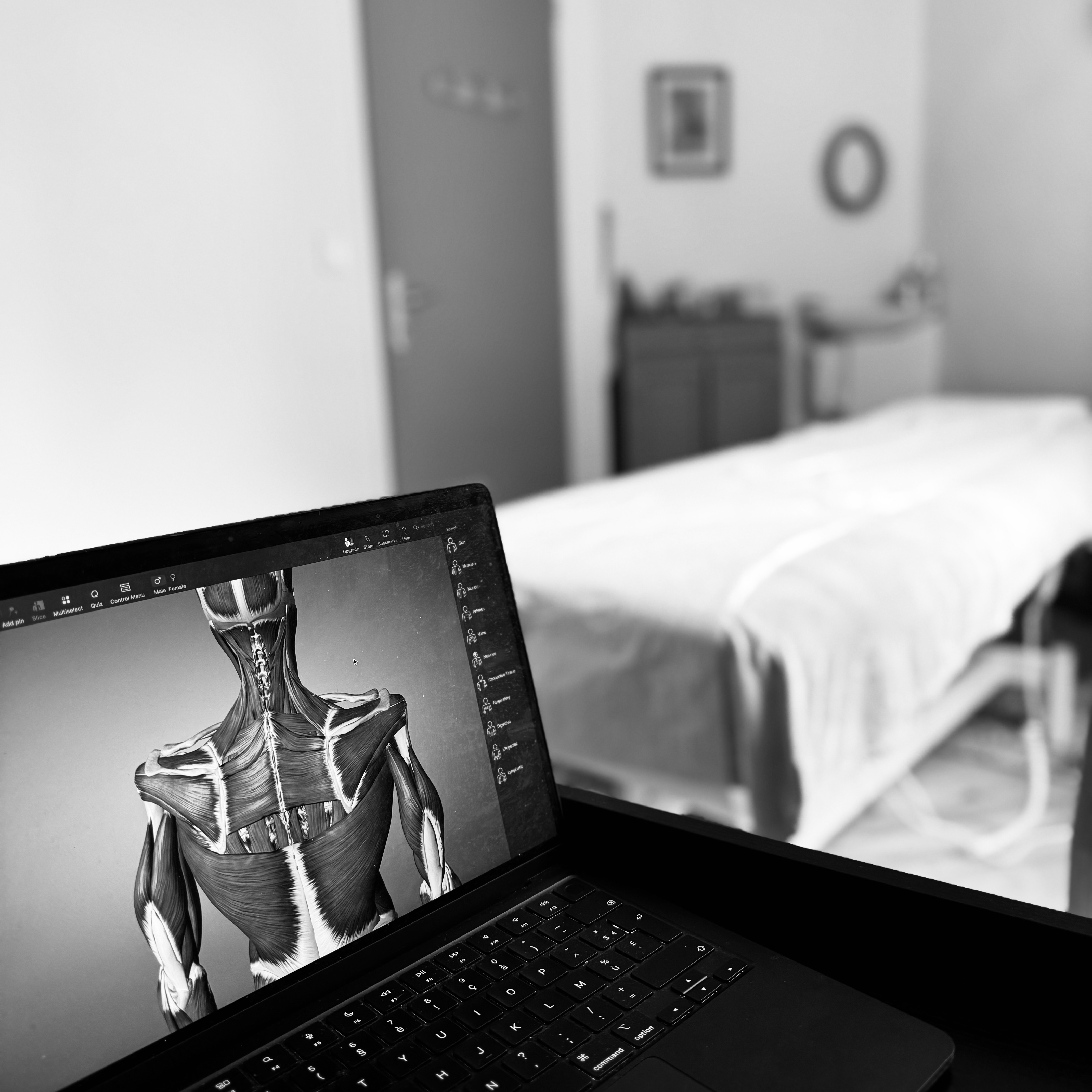 Image Illustration Sport