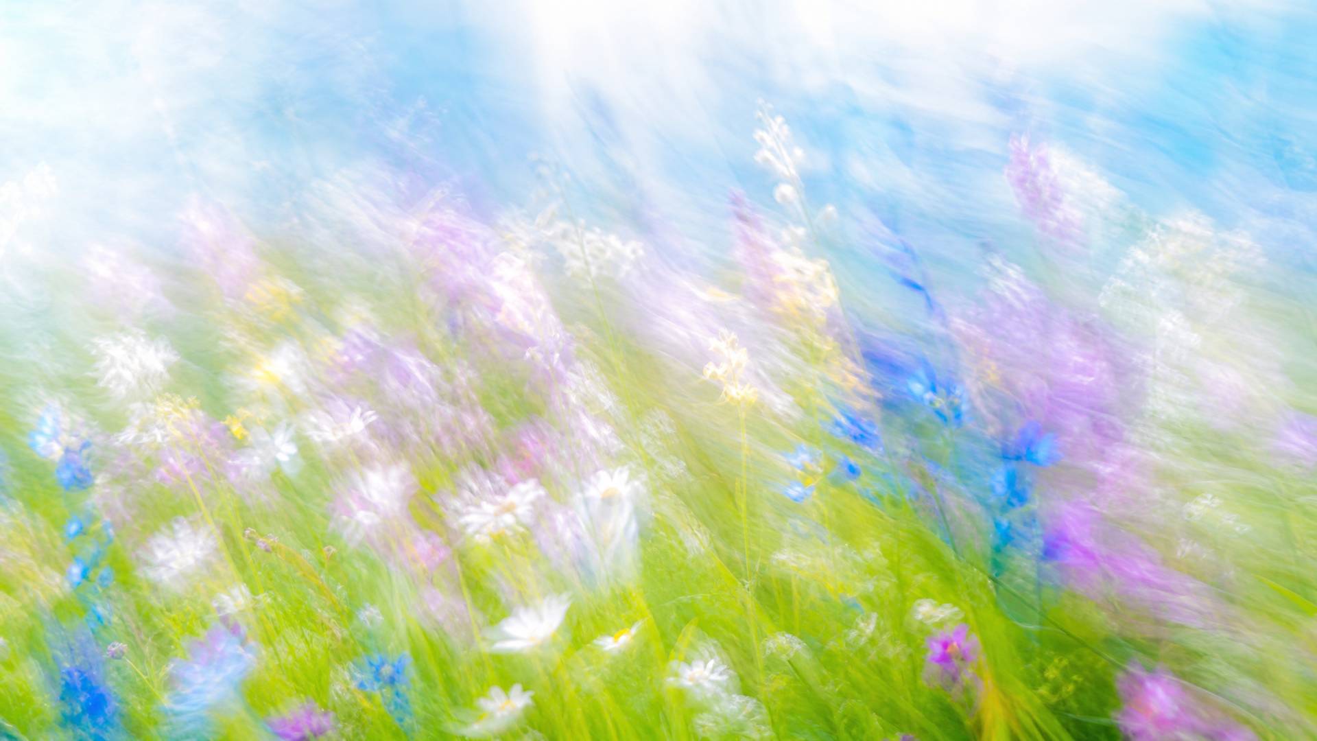 Bright impressionistic motion blur of a wildflower meadow