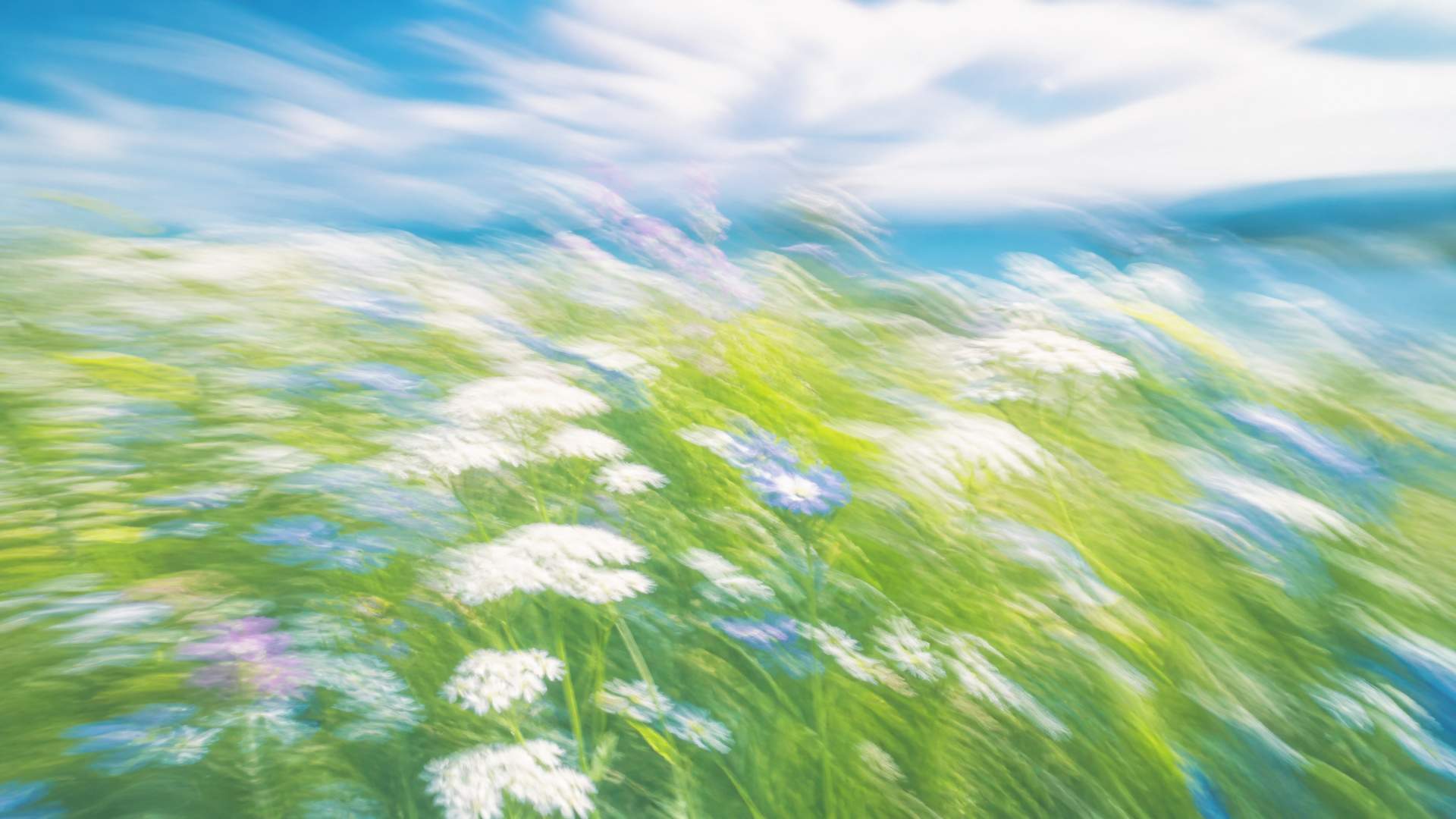 Bright impressionistic motion-blur wildflower meadow in teal and blue