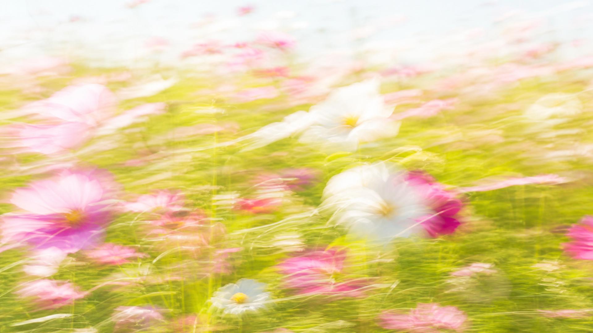 Bright impressionistic motion-blur wildflower meadow
