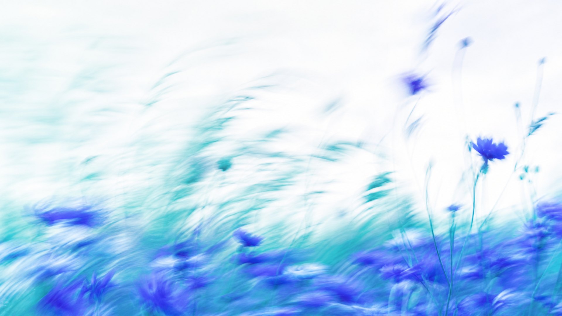 Bright high-key motion-blur wildflower meadow in indigo and teal