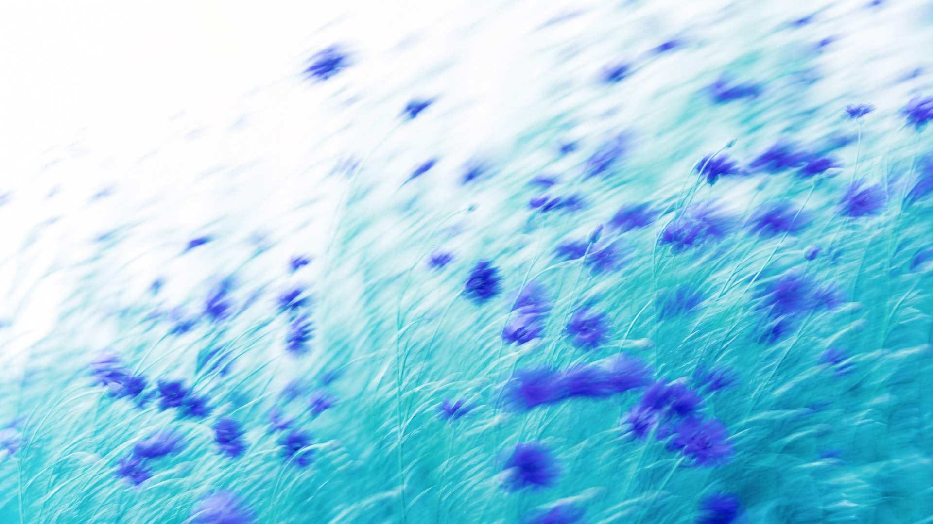 Dreamy high-key motion-blur wildflower meadow in indigo and teal