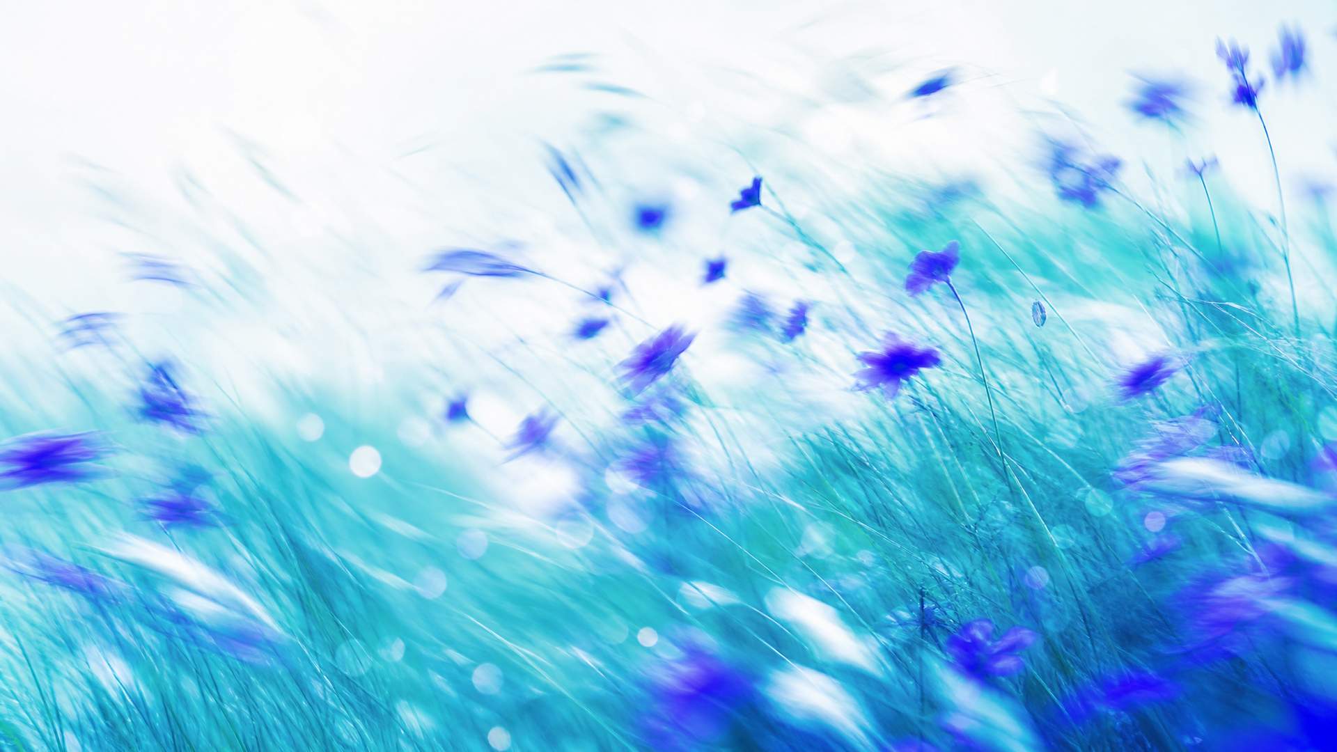Dreamy high-key motion-blur wildflower meadow in indigo and teal