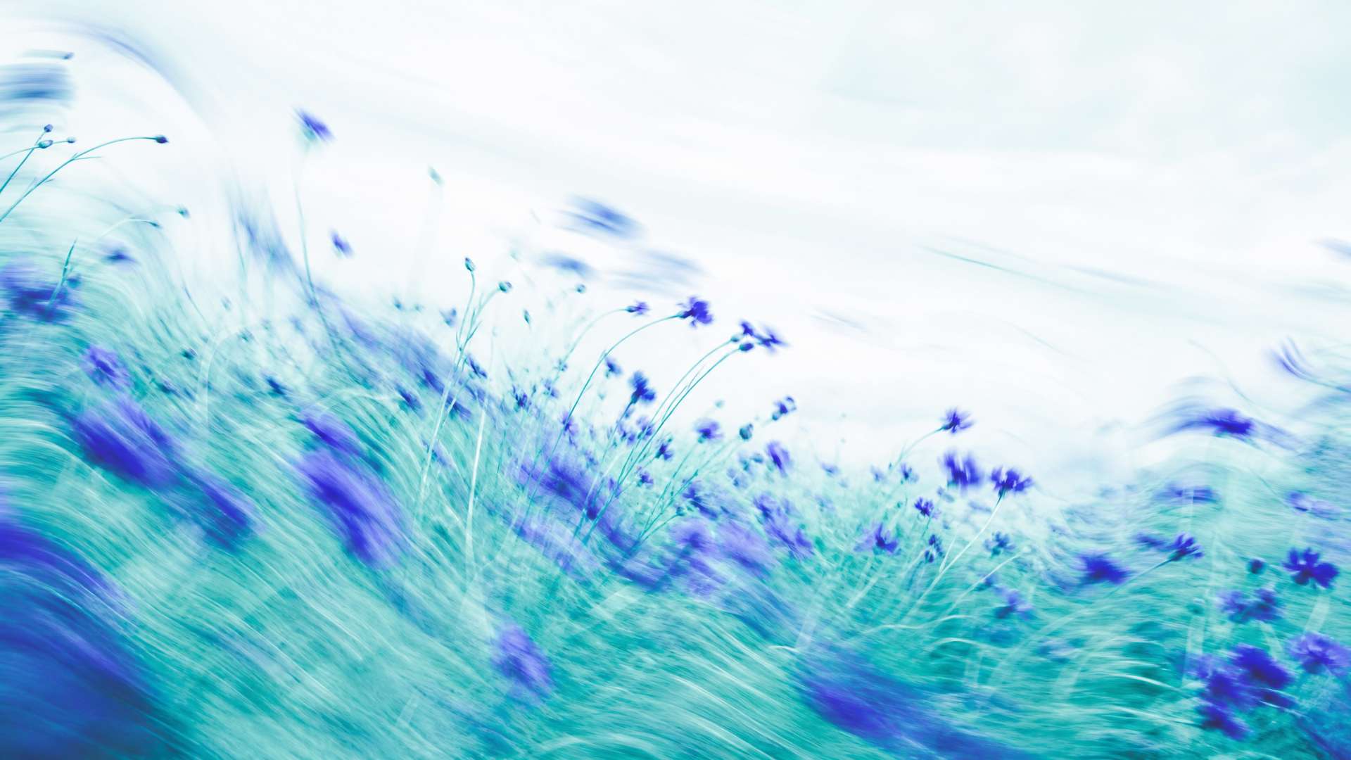 Dreamy high-key motion-blur wildflower meadow in indigo and teal