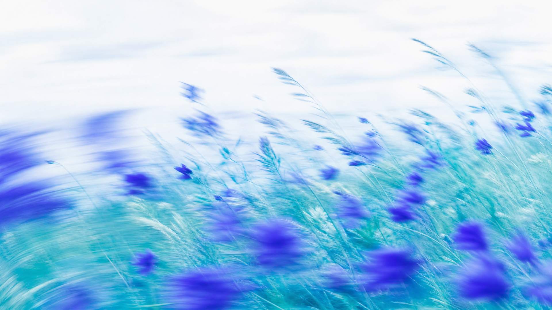 Dreamy high-key motion-blur wildflower meadow in indigo and teal